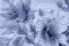 USA, Washington State, Seabeck. Composite abstract of flowers and leaves. Art Print